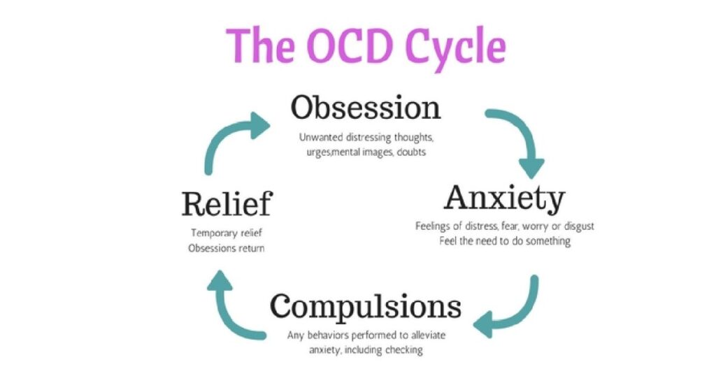 The OCD cycle
