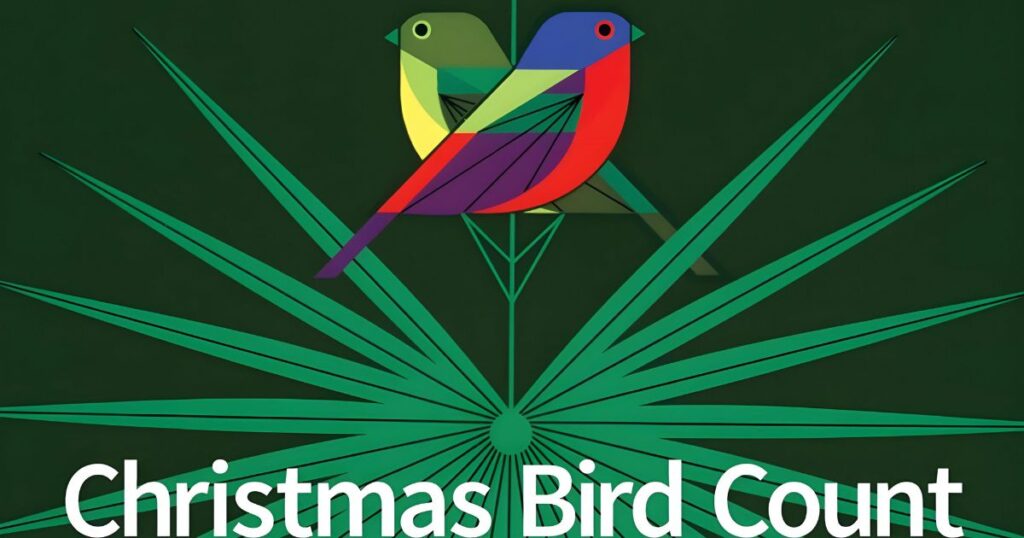 Christmas Bird Count 2023-2024