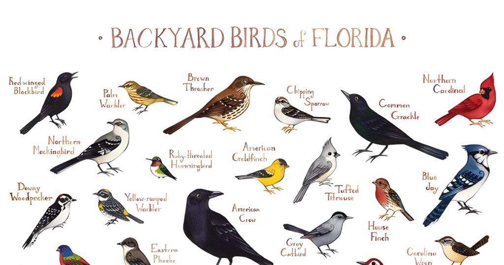 What is the Great Backyard Bird Count