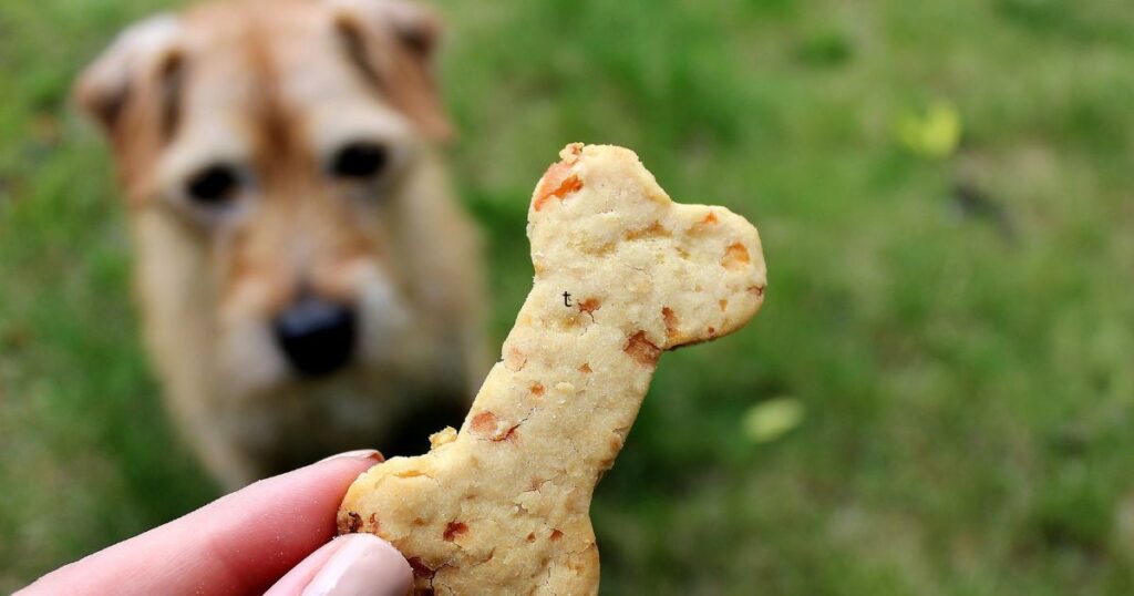 Tips for Choosing High Quality Dog Biscuits 