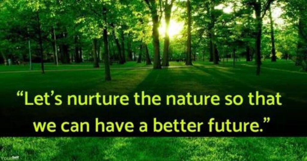 International Day of Forests 2024 Quotes