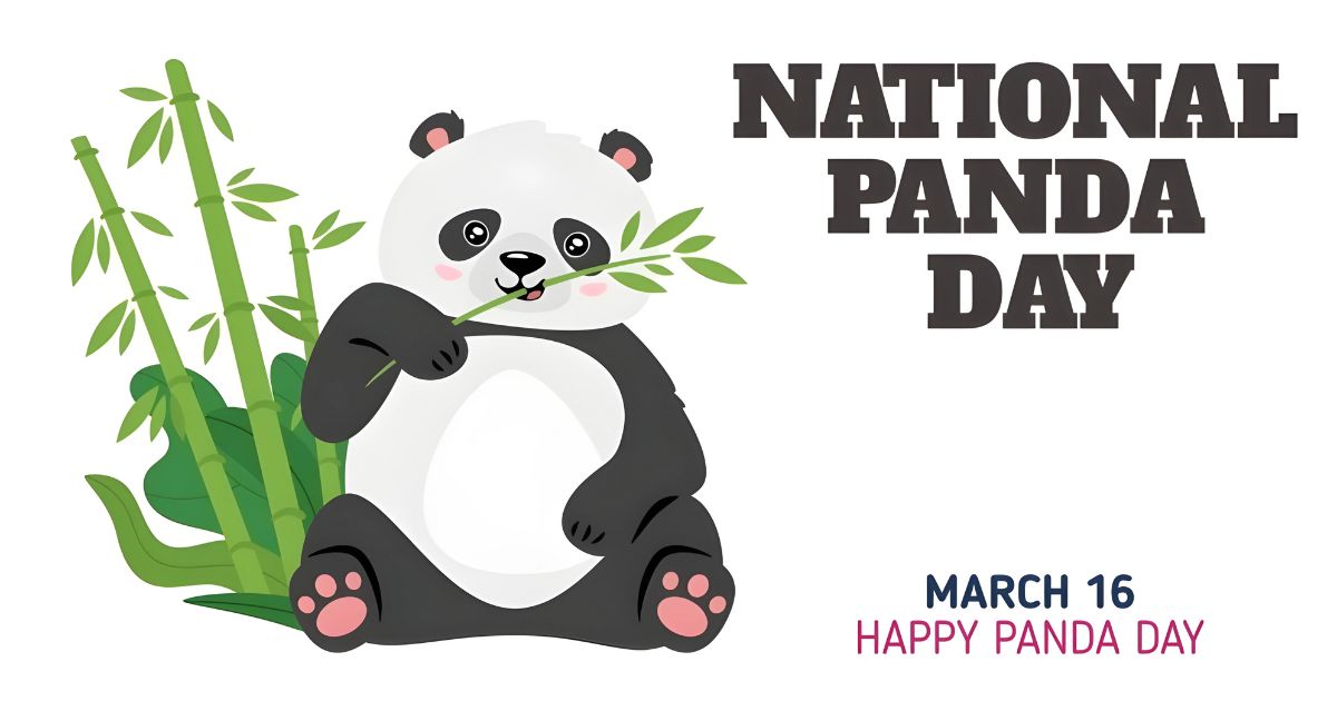 National Panda Day 