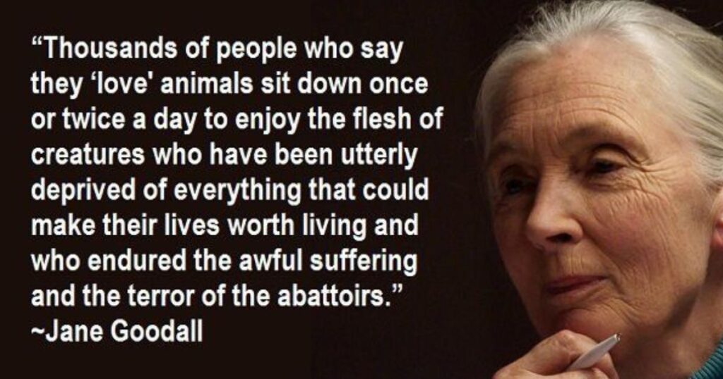Jane Goodall Quotes About Animals and the Environment