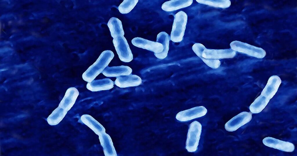 What is Listeria 